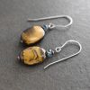 Blue topaz and Tiger eye earrings