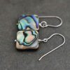 Dainty abalone earrings