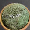 Sterling silver bee studs