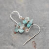 Sea Blue Apatite Earrings