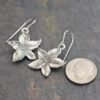 Tiger lily earrings (2)