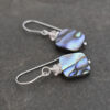 Rose Quartz & Abalone shall square earrings (1)_result