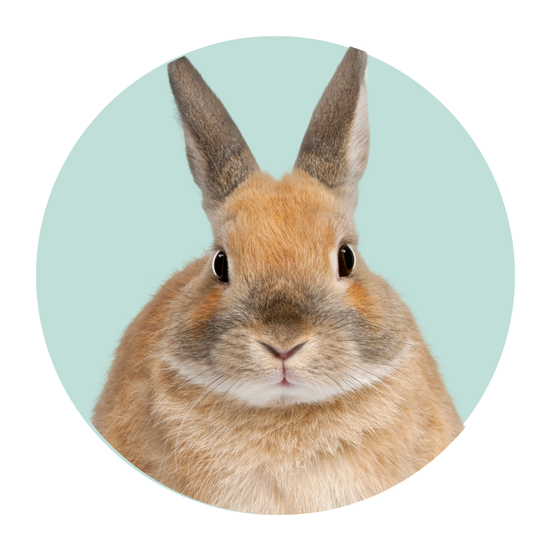 Sign up for mailing list for 10% off