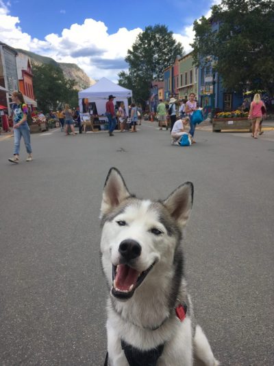 halfdan at the paragon peoples fair in crested butte colorado72 Halfdan at the Paragon Peoples Fair in Crested Butte